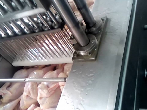 chicken saline water injection